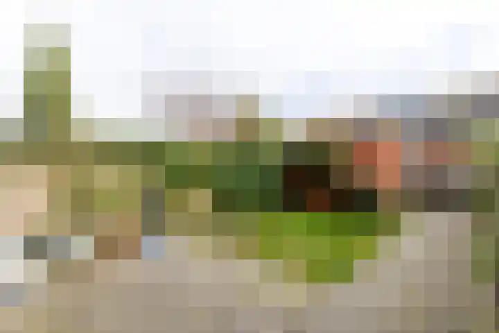 Gerrit Achterberghove 7 Nieuwegein thumbnail 37