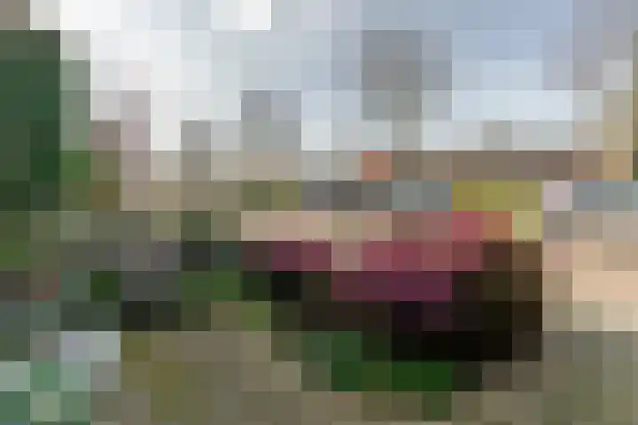 Gerrit Achterberghove 7 Nieuwegein thumbnail 46