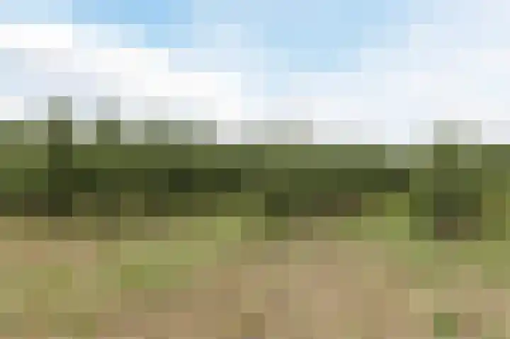 Gerrit Achterberglaan 2 De Meern thumbnail 60