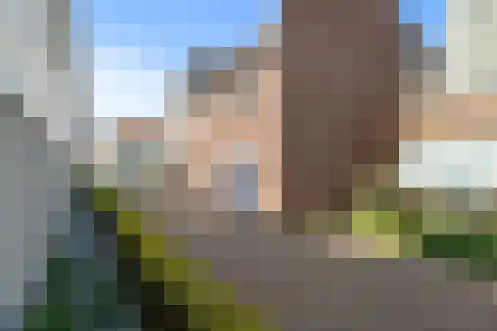 Gerrit Achterberglaan 25 De Meern thumbnail 29