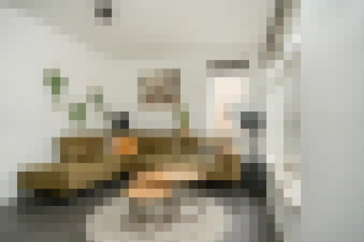 Gerrit Achterbergstraat 20 Langbroek thumbnail 13