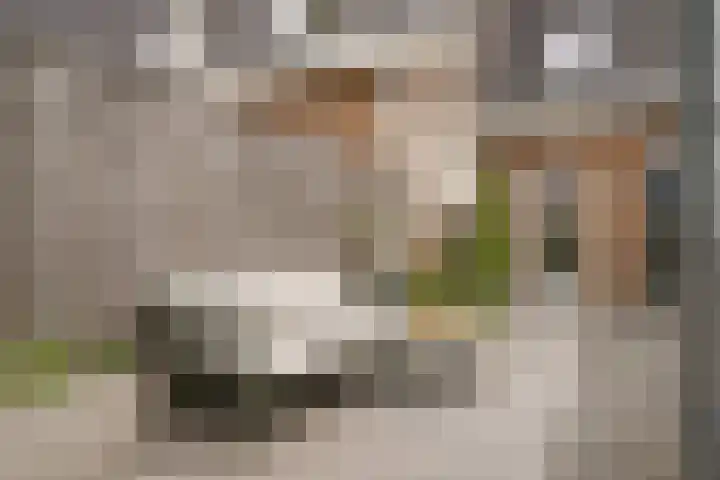 Gerrit Achterbergstraat 69 Langbroek thumbnail 27
