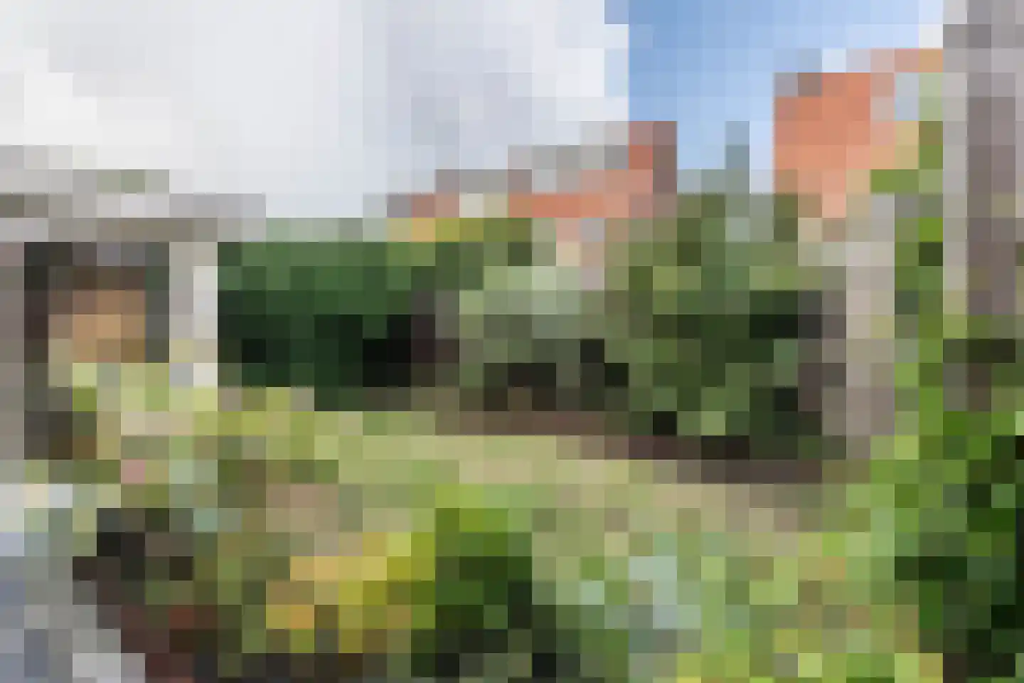 Gerrit Bartholomeuslaan 14 Haarlem thumbnail 28