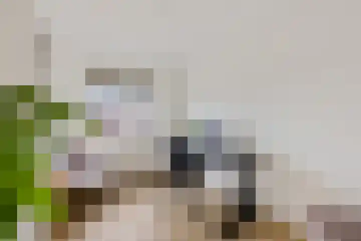 Gerrit Bennerweg 28 Heerenveen thumbnail 21