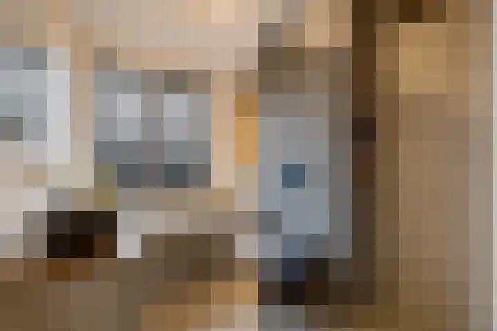 Gerrit Bennerweg 28 Heerenveen thumbnail 5