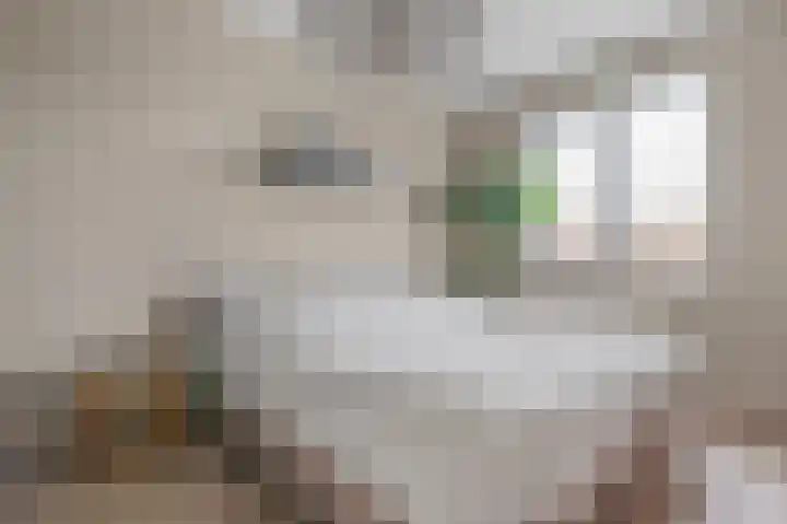 Gerrit Bennerweg 30 Heerenveen thumbnail 32