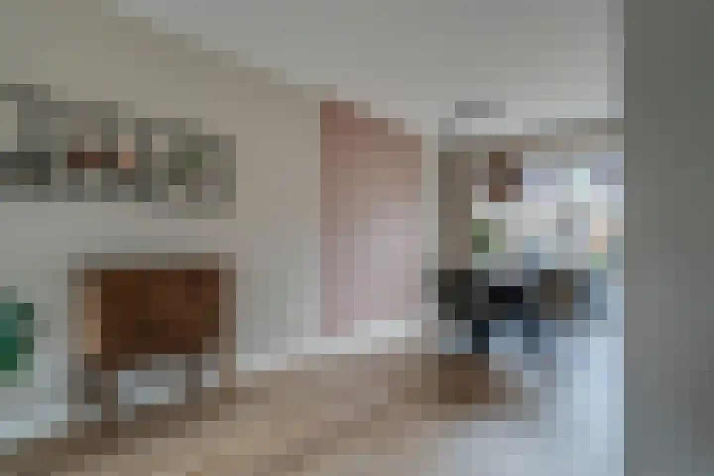 Gerrit Blaauwerve 3 Oosterwolde Gld thumbnail 22