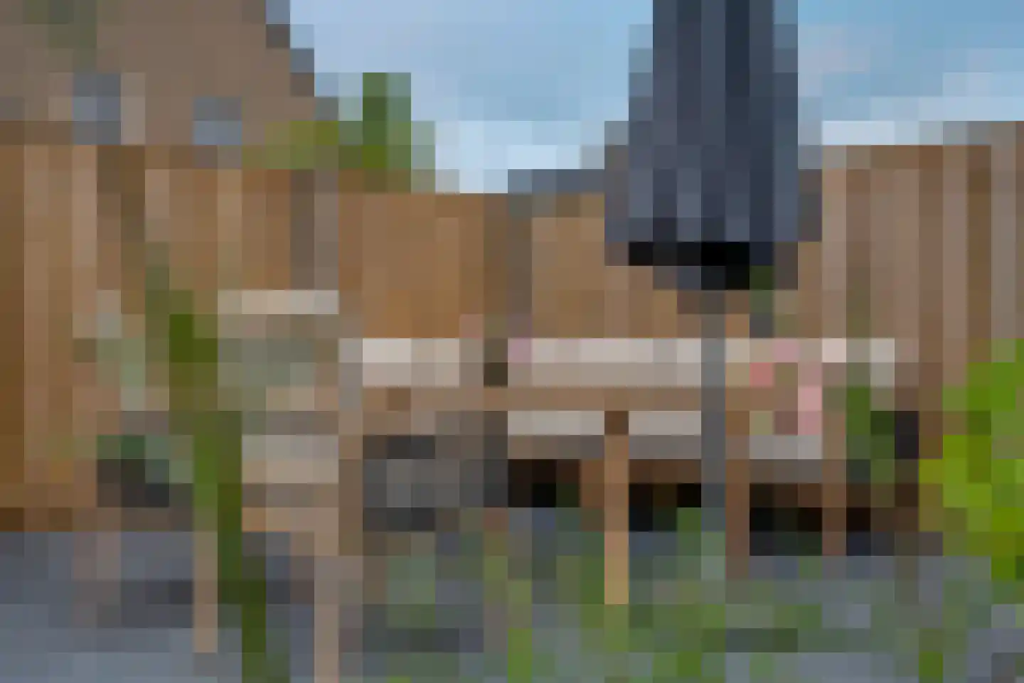 Gerrit Blaauwerve 3 Oosterwolde Gld thumbnail 39