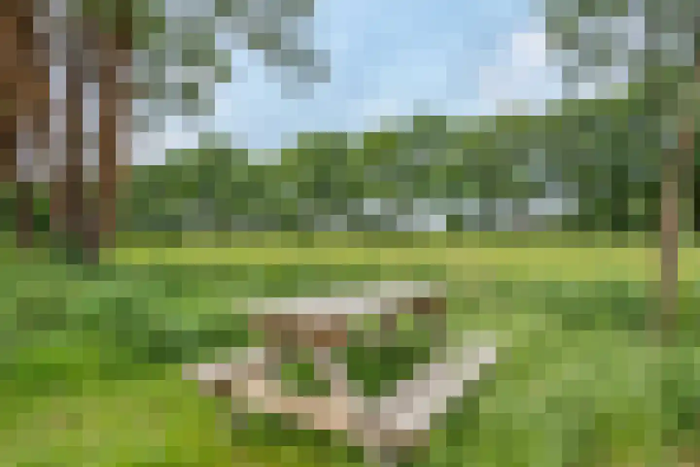 Gerrit Blaauwerve 3 Oosterwolde Gld thumbnail 7
