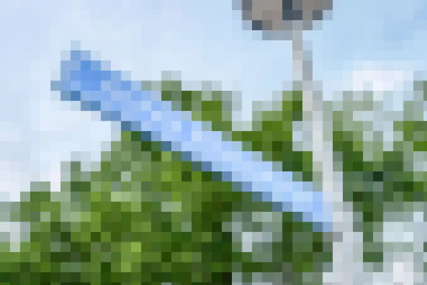 Gerrit Blaauwerve 3 Oosterwolde Gld thumbnail 8