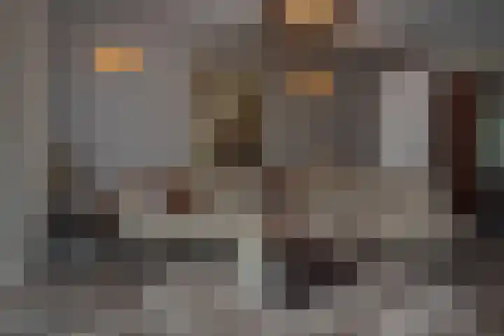 Gerrit Blaauwerve 32 Oosterwolde Gld thumbnail 13