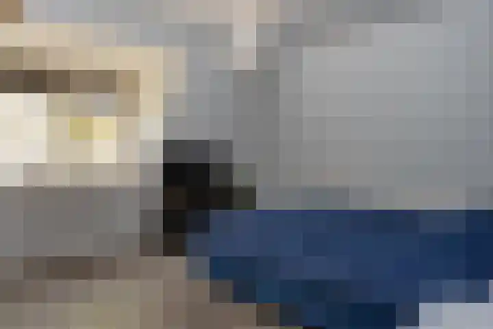 Gerrit Blaauwerve 32 Oosterwolde Gld thumbnail 37