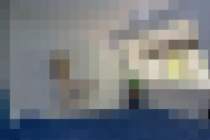 Gerrit Blaauwerve 32 Oosterwolde Gld thumbnail 39