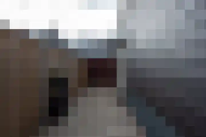 Gerrit Blaauwerve 32 Oosterwolde Gld thumbnail 54