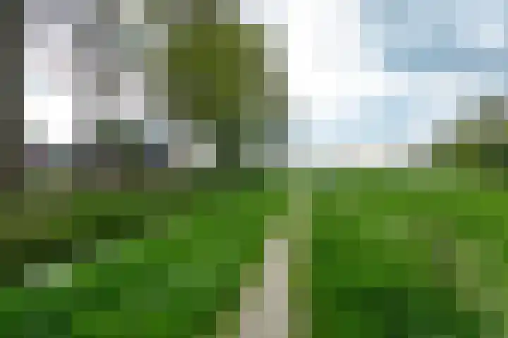 Gerrit Blaauwerve 32 Oosterwolde Gld thumbnail 58