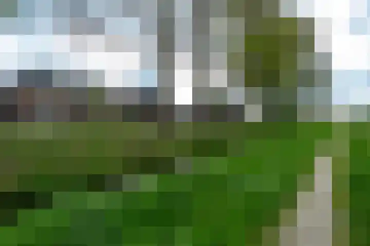 Gerrit Blaauwerve 32 Oosterwolde Gld thumbnail 59