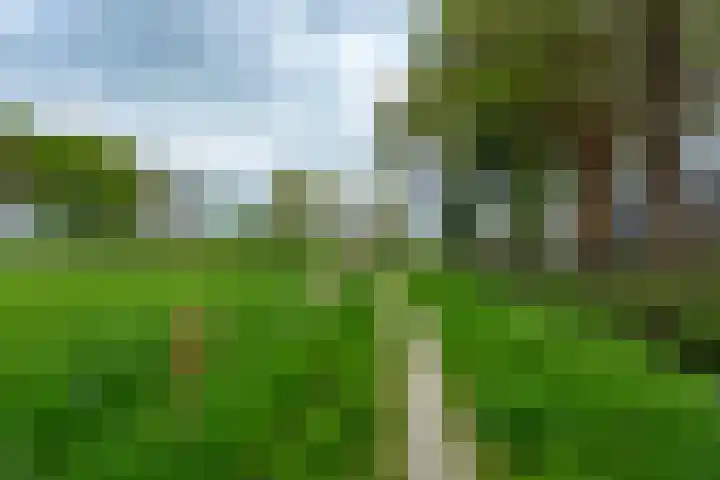 Gerrit Blaauwerve 32 Oosterwolde Gld thumbnail 60