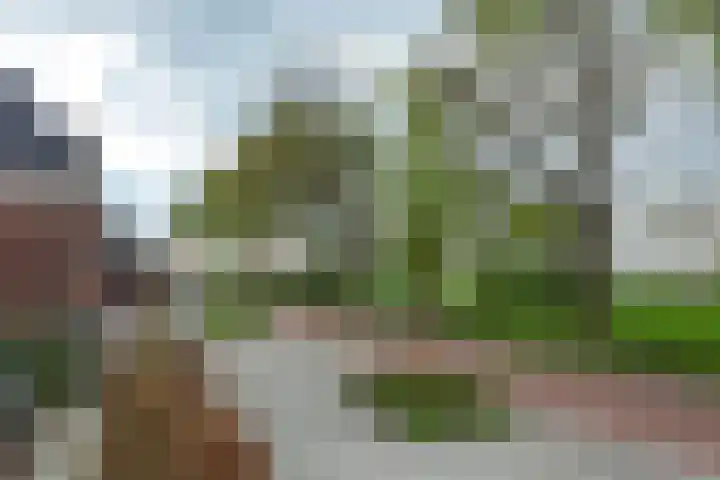 Gerrit Blaauwerve 32 Oosterwolde Gld thumbnail 61