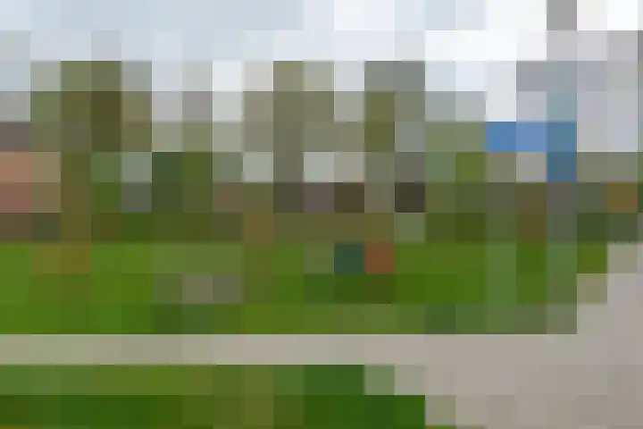 Gerrit Blaauwerve 32 Oosterwolde Gld thumbnail 63