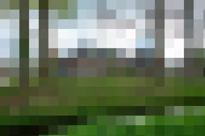 Gerrit Blaauwerve 32 Oosterwolde Gld thumbnail 65