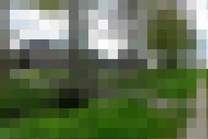 Gerrit Blaauwerve 32 Oosterwolde Gld thumbnail 66