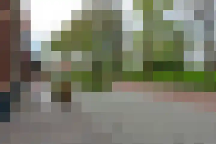 Gerrit Blaauwerve 32 Oosterwolde Gld thumbnail 70