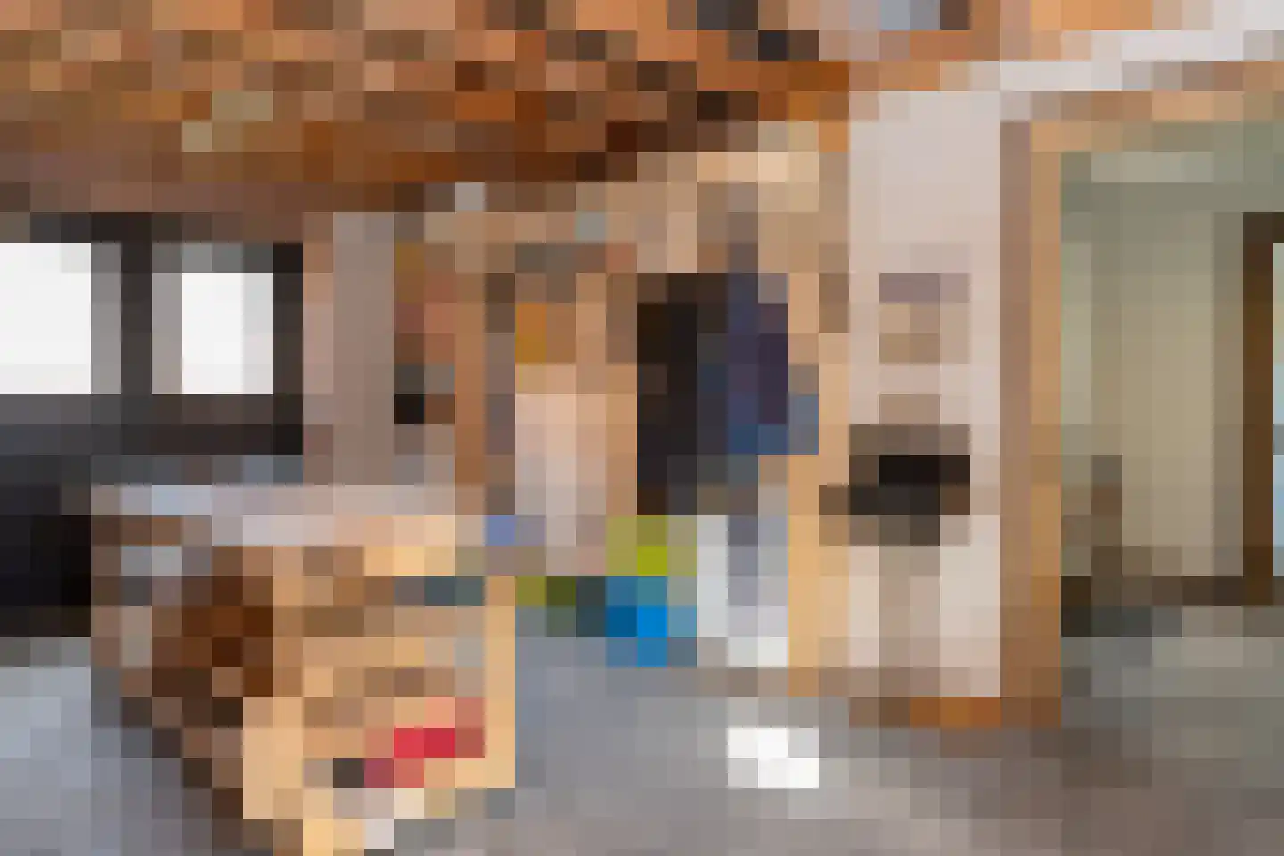 Gerrit Blaauwerve 4 Oosterwolde Gld thumbnail 37