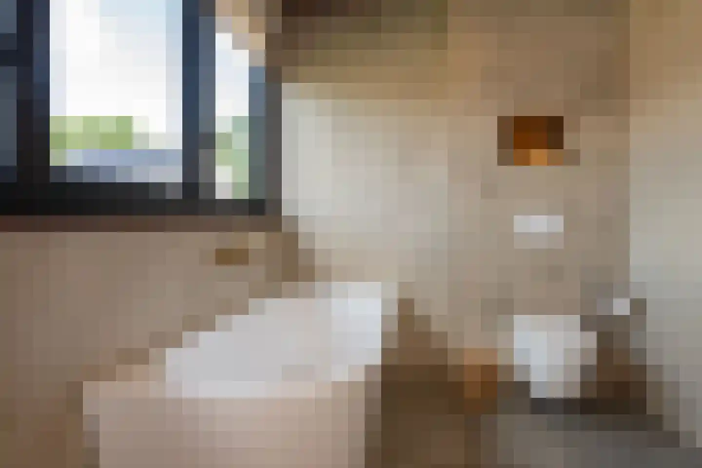 Gerrit Blaauwerve 4 Oosterwolde Gld thumbnail 56
