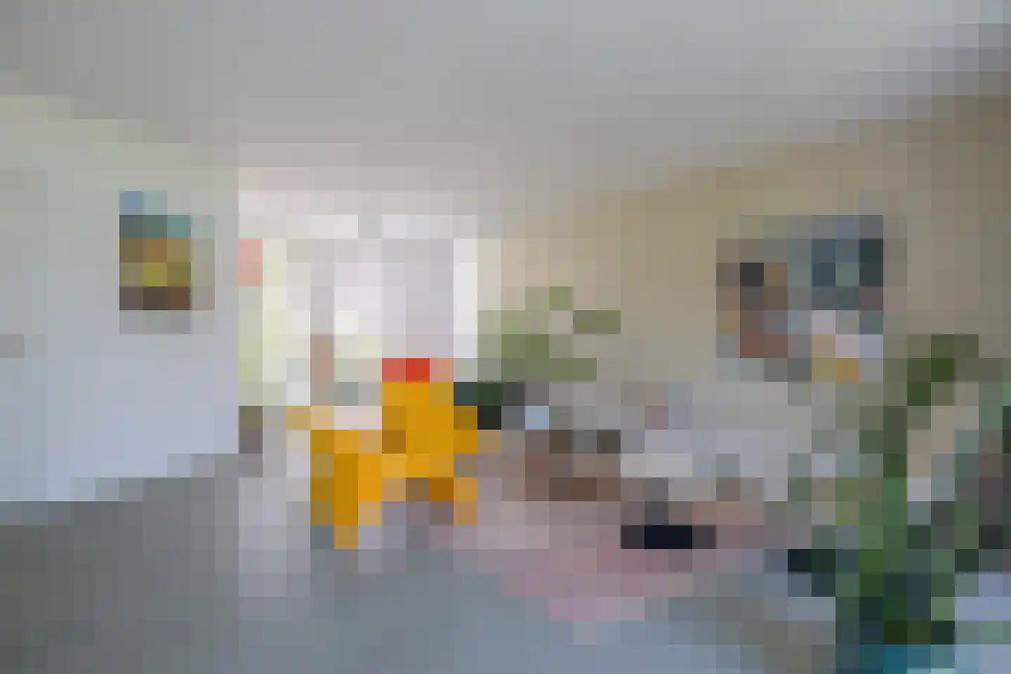 Gerrit den Braberlaan 10 Eindhoven thumbnail 10