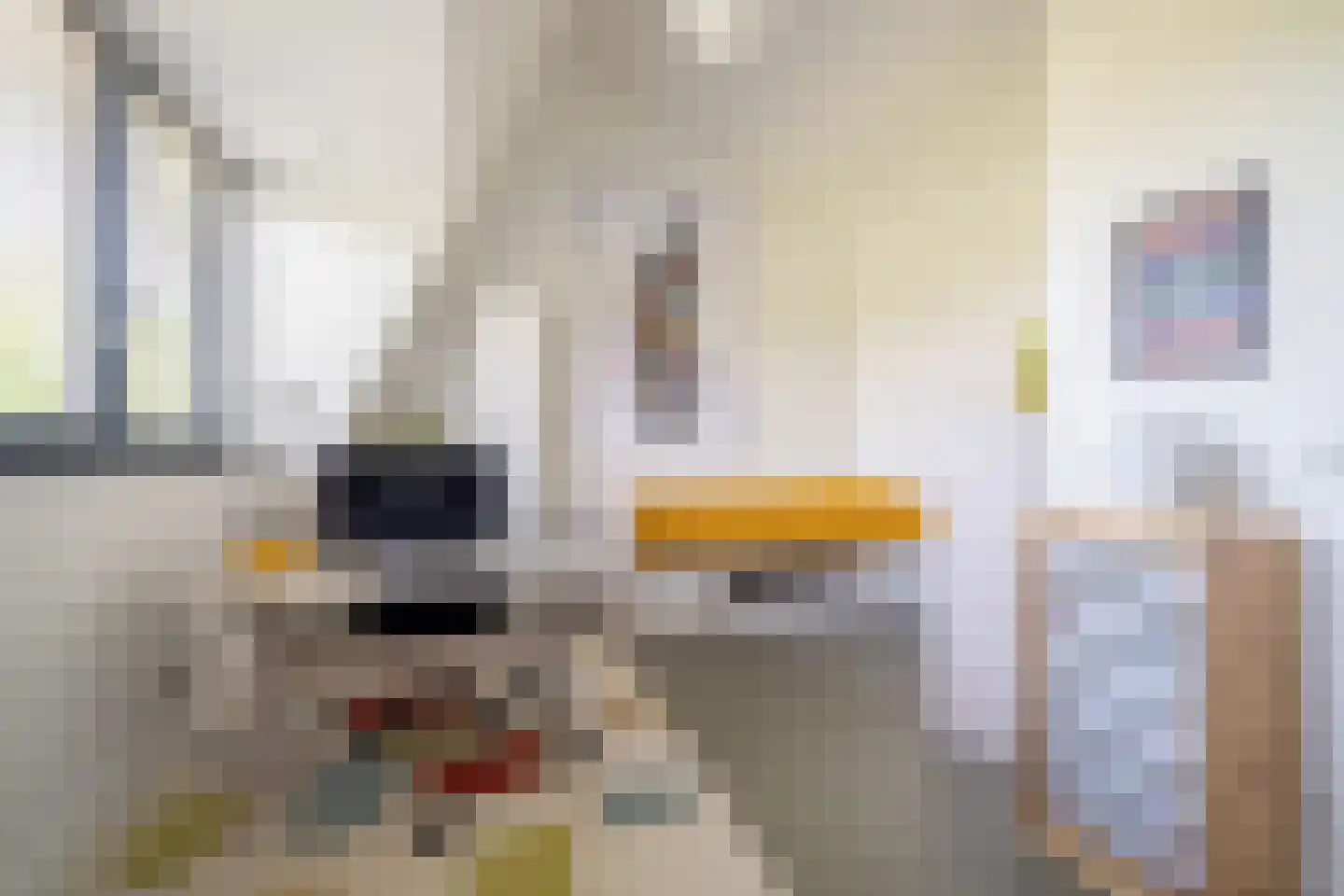 Gerrit den Braberlaan 10 Eindhoven thumbnail 34