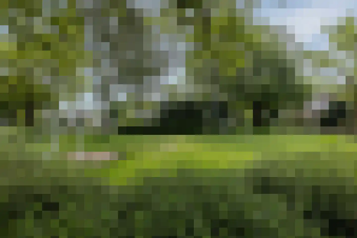 Gerrit den Braberlaan 10 Eindhoven thumbnail 60