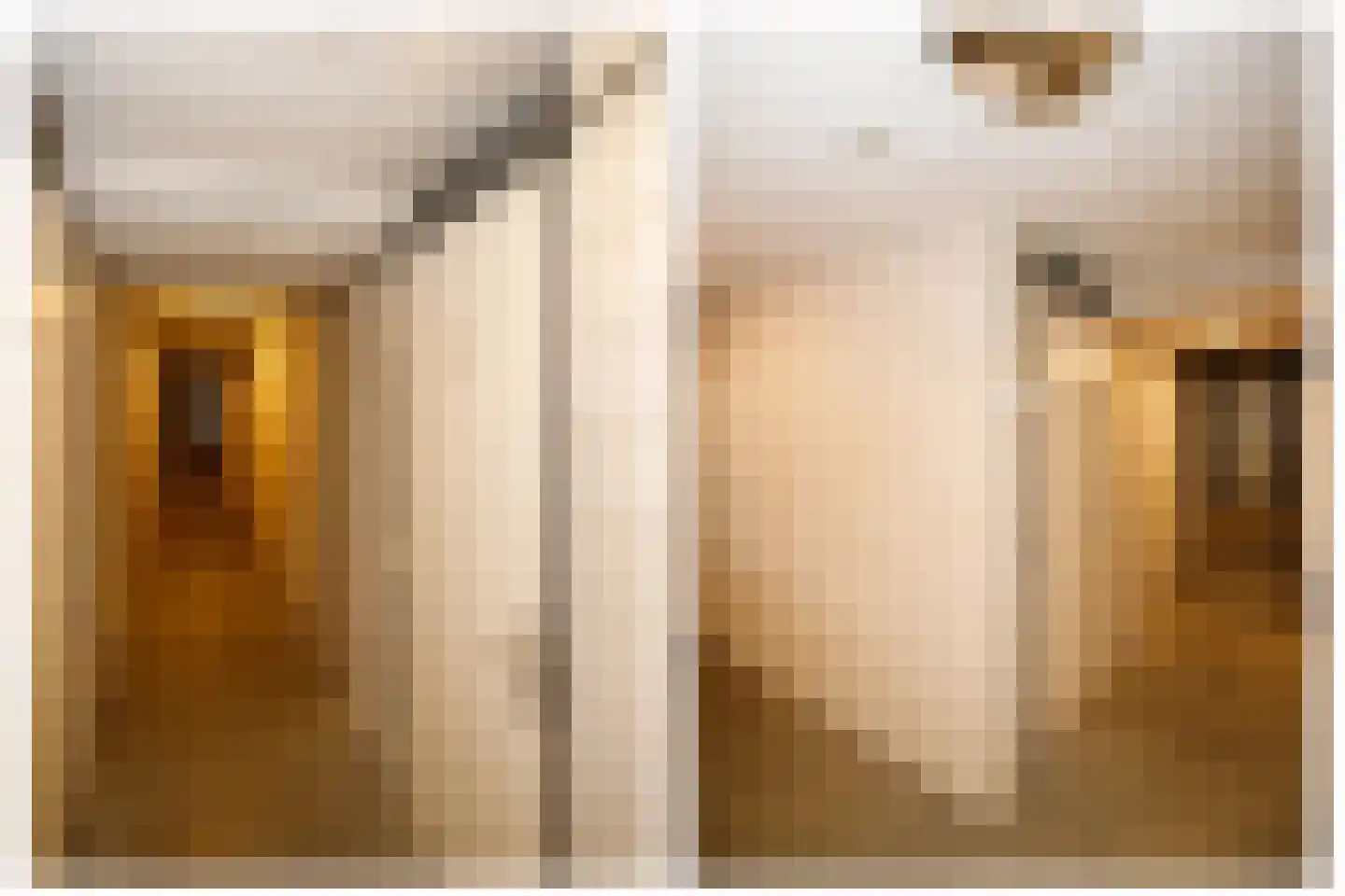 Gerrit Greupstraat 20 Schoonhoven thumbnail 25