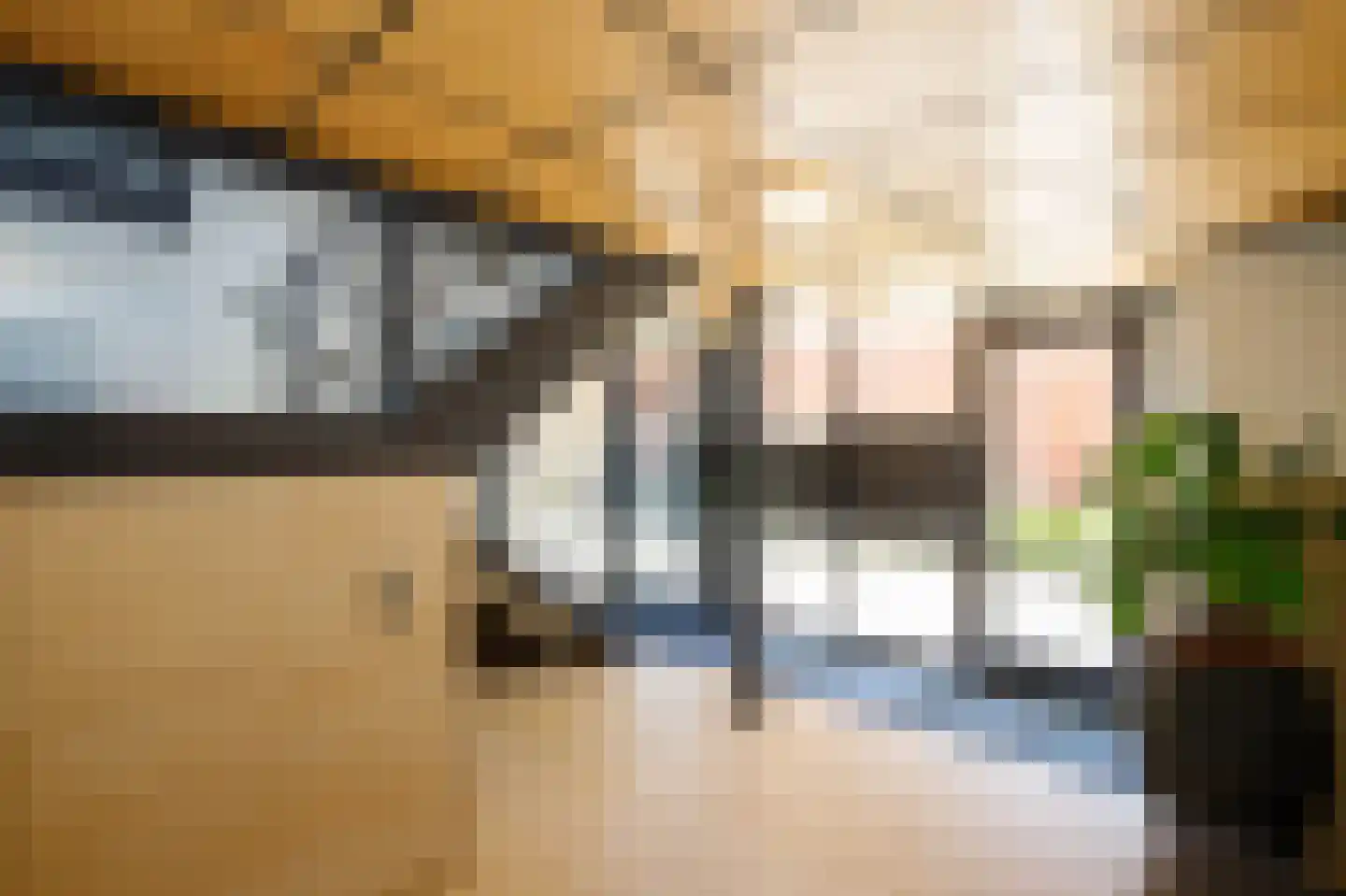 Gerrit Greupstraat 20 Schoonhoven thumbnail 7