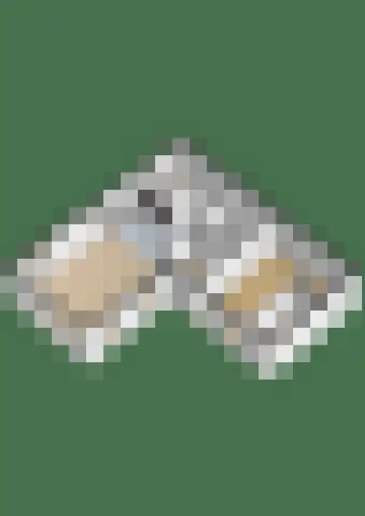 Gerrit Greupstraat 36 Schoonhoven thumbnail 36