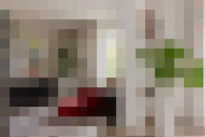 Gerrit Greupstraat 5 Schoonhoven thumbnail 10
