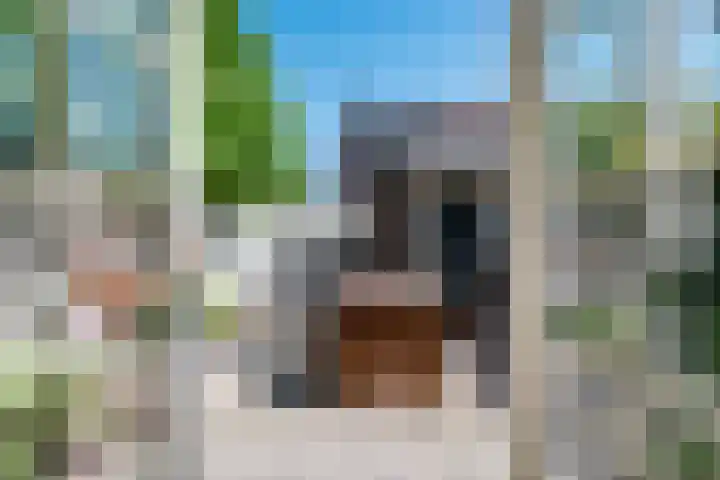 Gerrit Heeringastraat 1 Noordwijk thumbnail 14