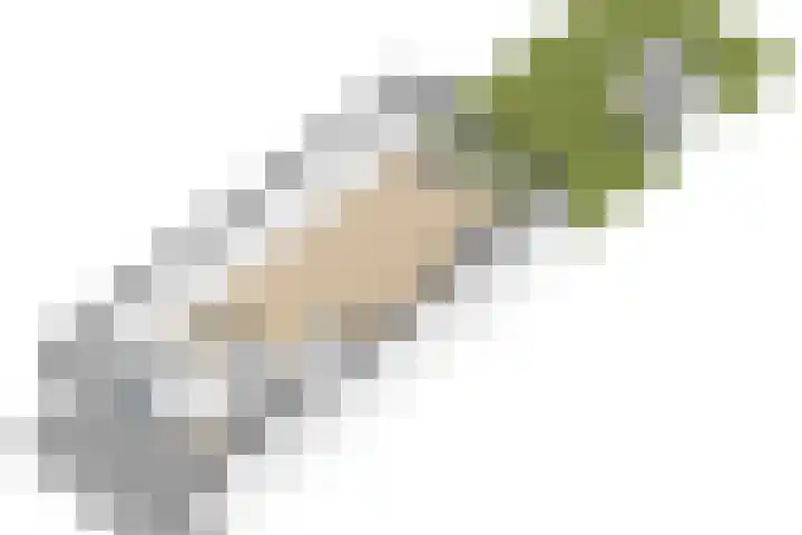 Gerrit Heeringastraat 1 Noordwijk thumbnail 36