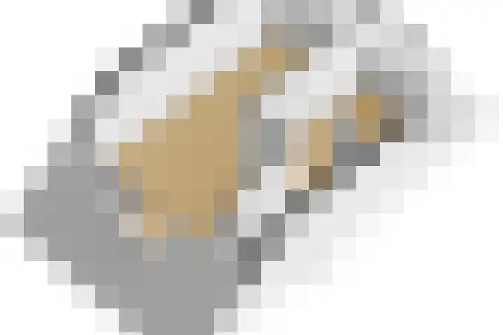 Gerrit Heeringastraat 1 Noordwijk thumbnail 38