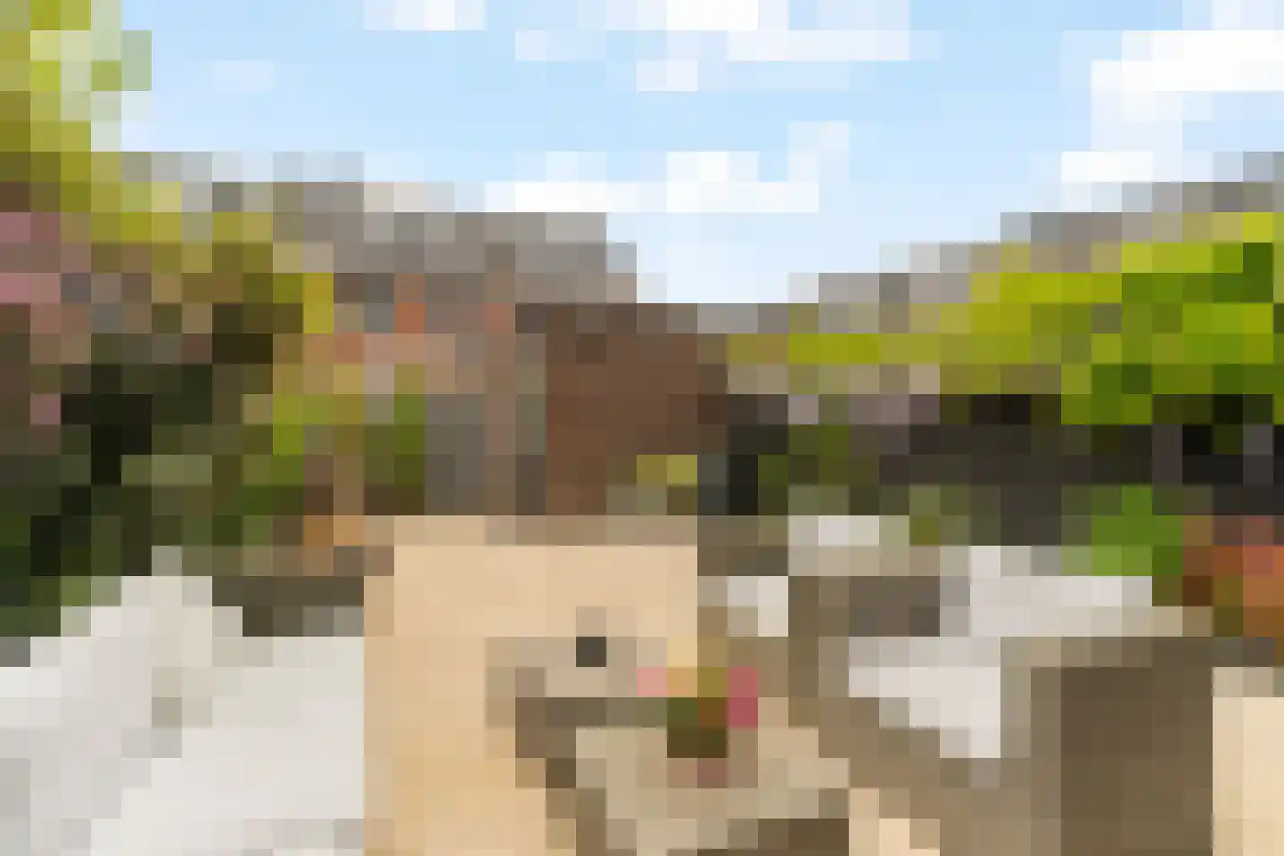 Gerrit Heeringastraat 4 Noordwijk thumbnail 12