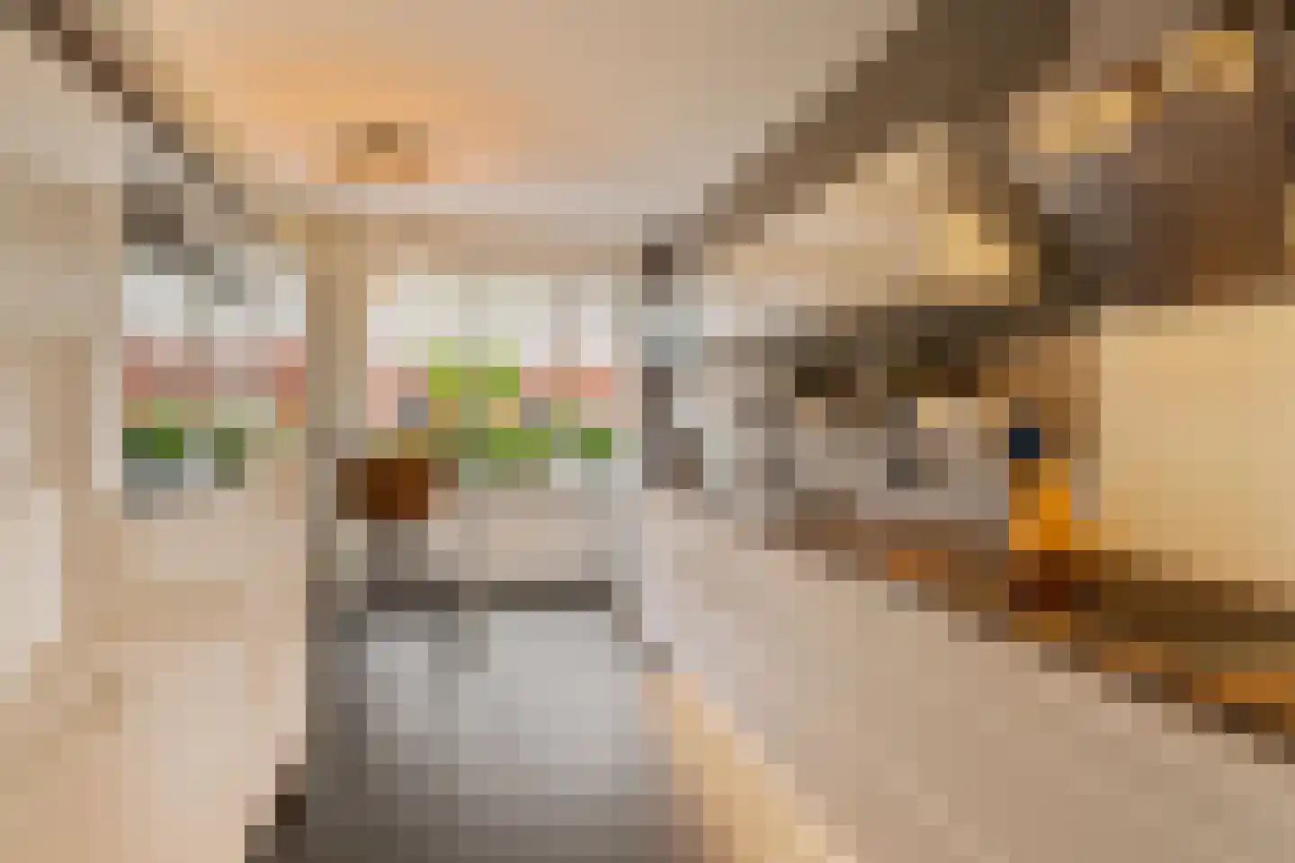 Gerrit Heeringastraat 4 Noordwijk thumbnail 19
