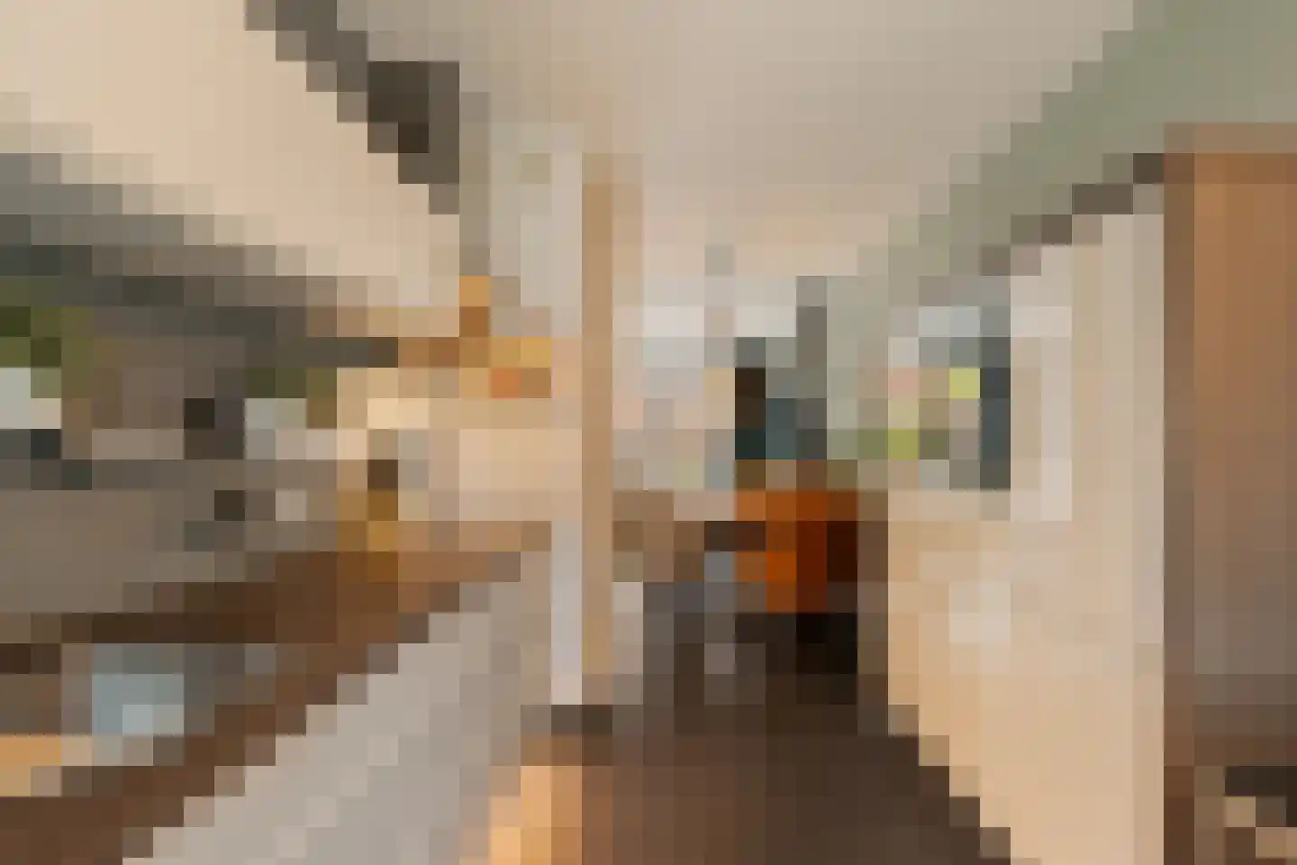 Gerrit Heeringastraat 4 Noordwijk thumbnail 21