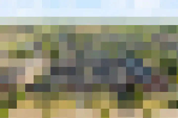 Gerrit Heeringastraat 7 Noordwijk thumbnail 35
