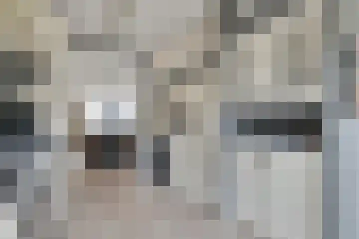 Gerrit Hendrixlaan 21 Hendrik-Ido-Ambacht thumbnail 11