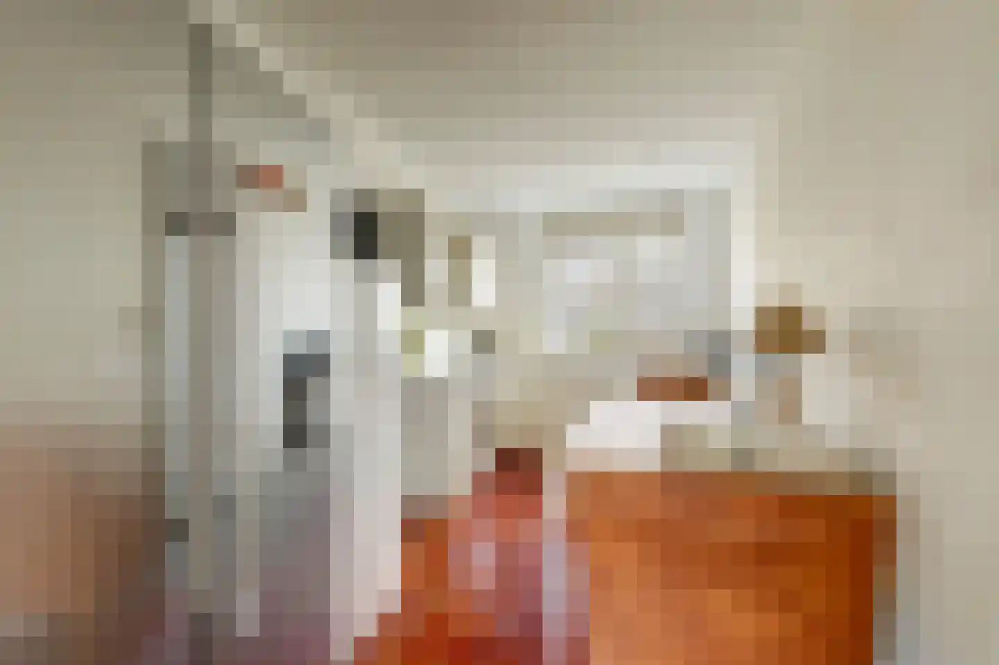 Gerrit Hendrixlaan 27 Hendrik-Ido-Ambacht thumbnail 10