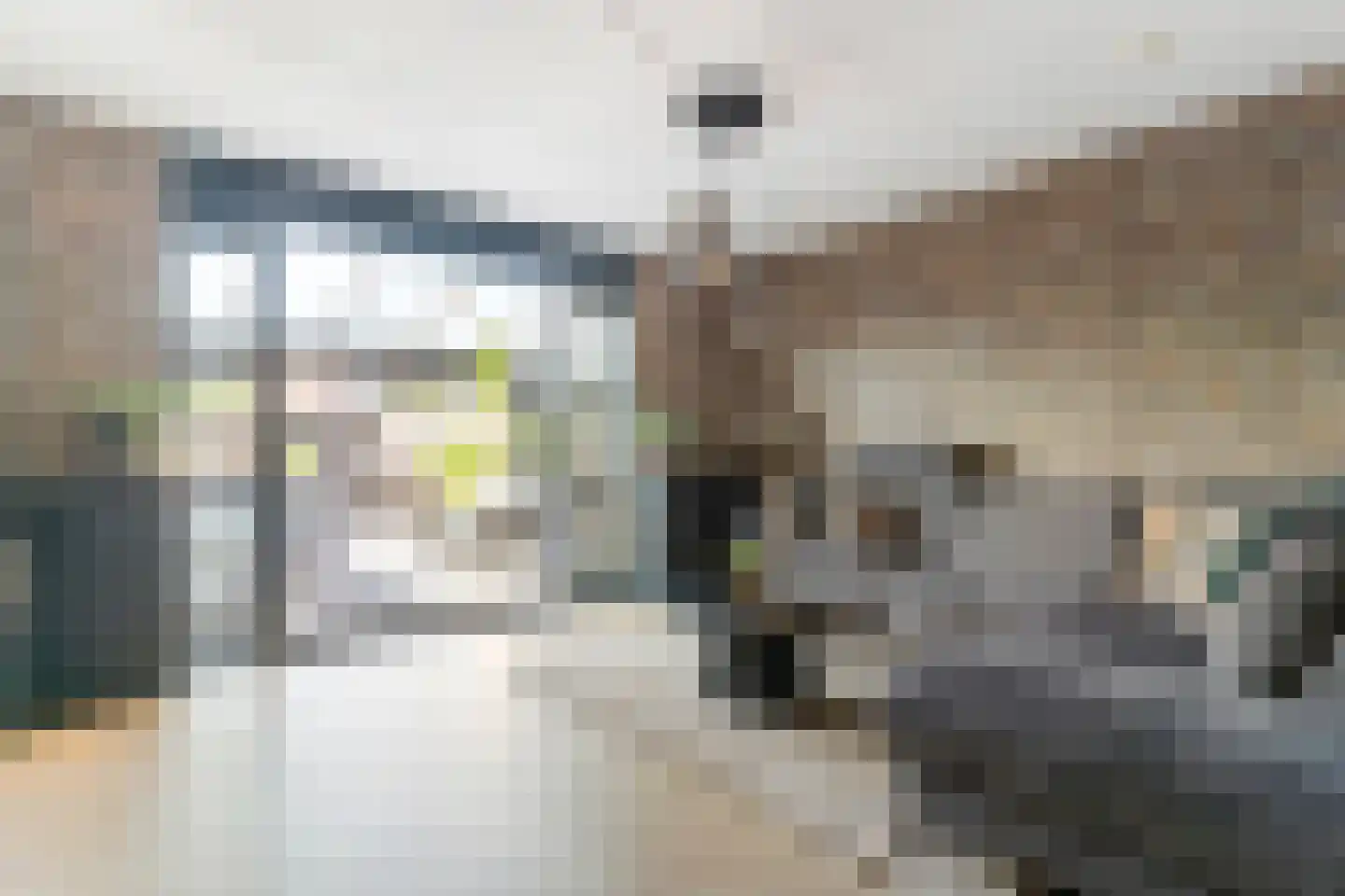 Gerrit Hendrixlaan 6 Hendrik-Ido-Ambacht thumbnail 16