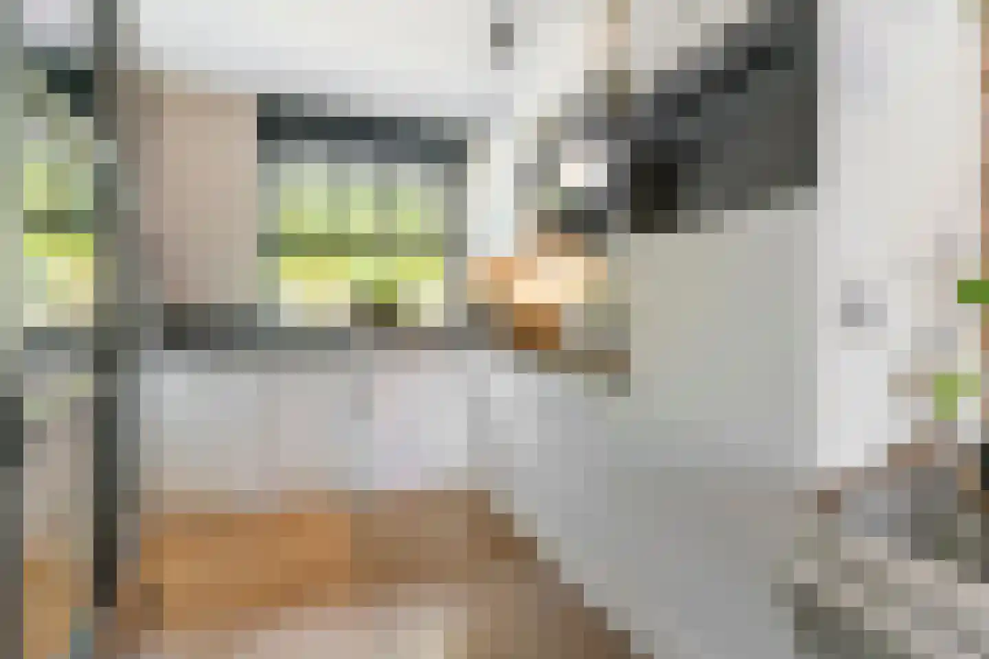 Gerrit Hendrixlaan 6 Hendrik-Ido-Ambacht thumbnail 6