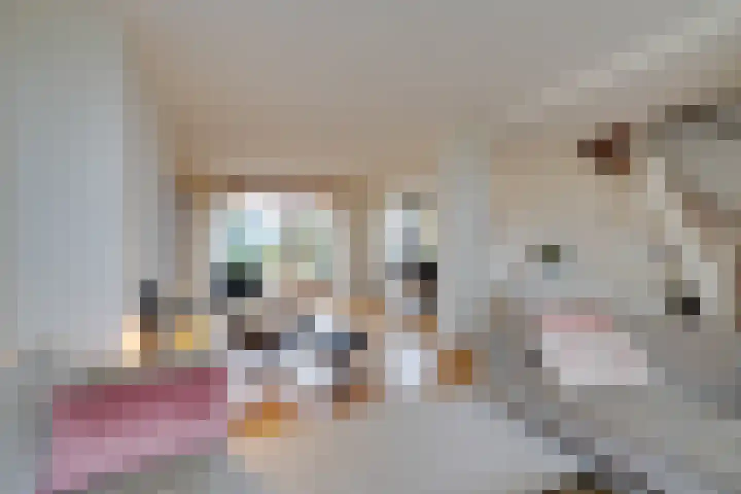 Gerrit Hoogstraatenlaan 2 Middenbeemster thumbnail 10