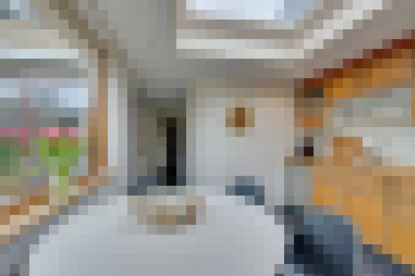 Gerrit Hoogstraatenlaan 2 Middenbeemster thumbnail 20
