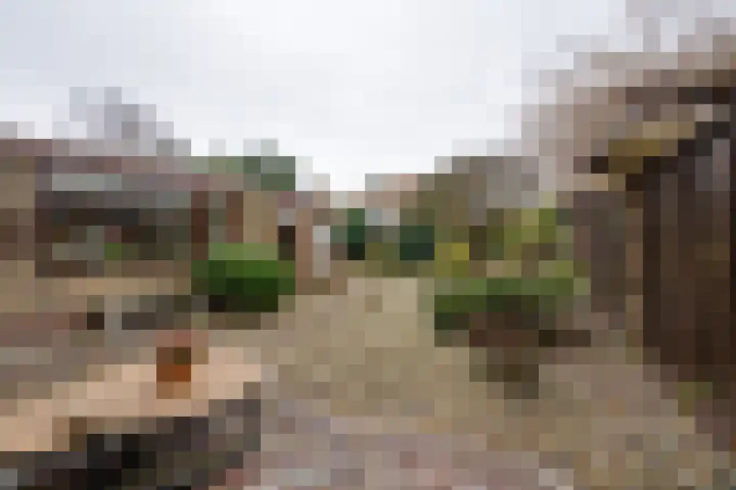 Gerrit Hoogstraatenlaan 2 Middenbeemster thumbnail 26