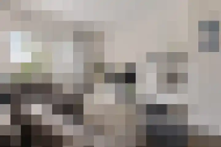 Gerrit Imbosstraat 12 Foxhol thumbnail 10